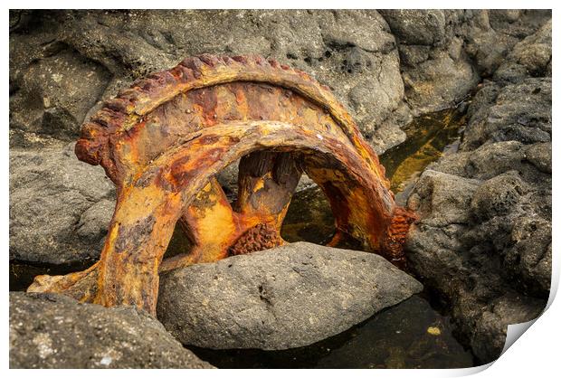 Sugar industry equipment abandoned on Mokolea Point Print by Steve Heap