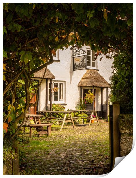 Thatched pub garden in Lustleigh in Devon Print by Steve Heap