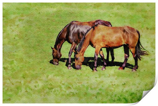 Digital water color of two brown horses Print by Steve Heap