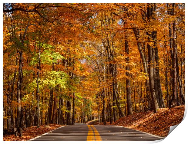 Road leading to Coopers Rock state park overlook in West Virgini Print by Steve Heap