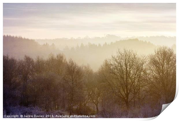 Misty Morning in the Forest Print by Jackie Davies