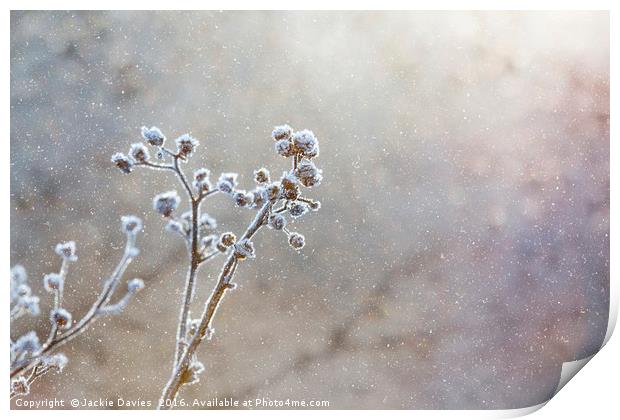 Fantasy Snow Scene Print by Jackie Davies