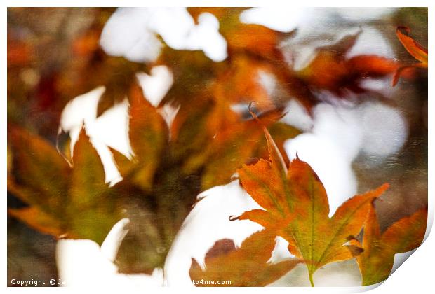 Autumn Twist Print by Jackie Davies