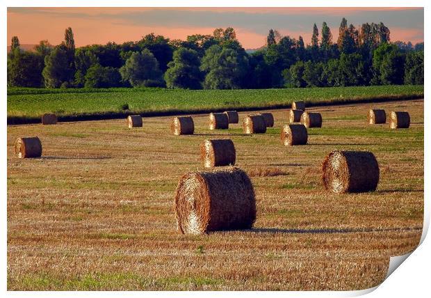 Evening rolls    Print by Peter Balfour