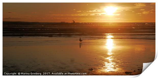 Seagull watching a surfer at sunset Print by MazzBerg 