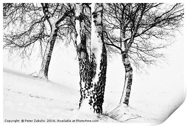 Winter Trees Print by Peter Zabulis