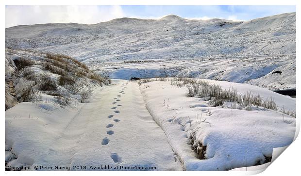 Footsteps in the snow Print by Peter Gaeng
