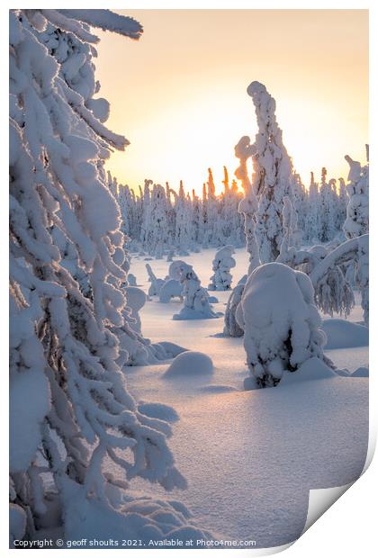 Arctic Winter II Print by geoff shoults