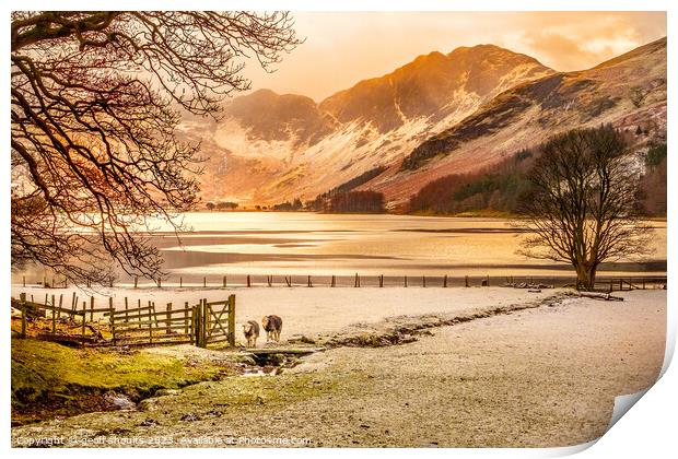Buttermere on a winter afternoon Print by geoff shoults
