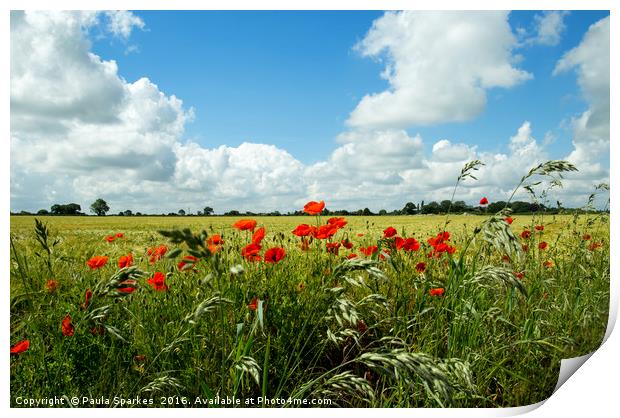 Poppies of the corn Print by Paula Sparkes