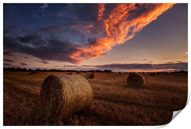 Straw bales sunset Print by Paul Bullen