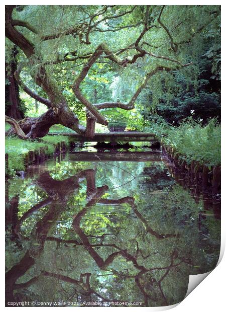 A Trees Reflection, Leeds Castle, Kent Print by Danny Wallis