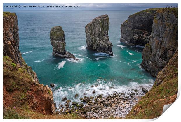 Elegug Stacks, Pembrokeshire, south Wales.  Print by Gary Parker