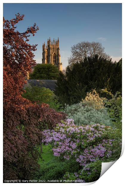 York Minster on a summers day Print by Gary Parker