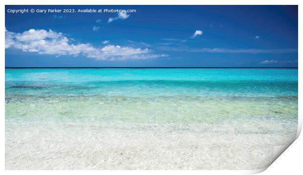 A tropical ocean, with a crystal clear, turquoise sea. Print by Gary Parker