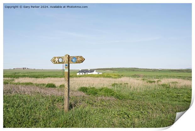 Wales Coastal path directional wooden sign. Location is Angelsey.  Print by Gary Parker