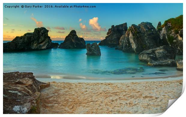 Tropical Cove at Sunrise Print by Gary Parker