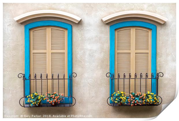 Two quaint windows, with bright blue frames Print by Gary Parker