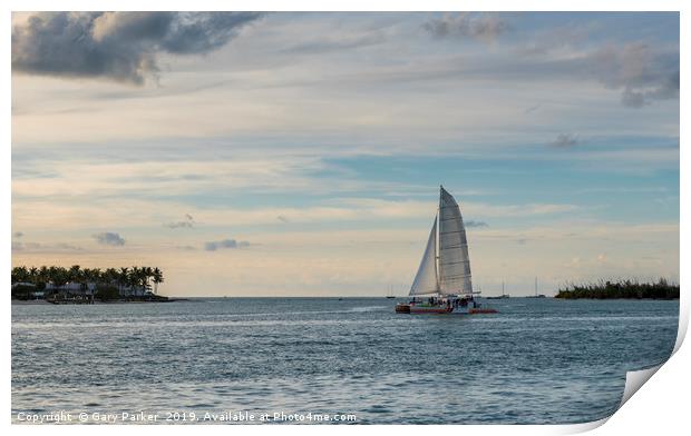 Key West Catamaran Print by Gary Parker