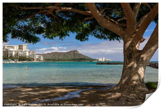 A view of Diamond Head, Honolulu, Hawaii Print by Gary Parker