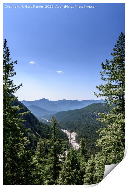 Nisqually river bed, in summer, Mount Rainier Print by Gary Parker