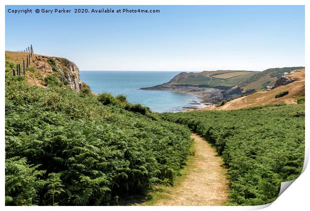 A path leading through foliage, towards the sea Print by Gary Parker