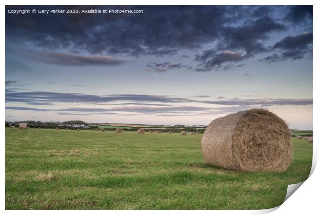 hay bales in the field	 Print by Gary Parker