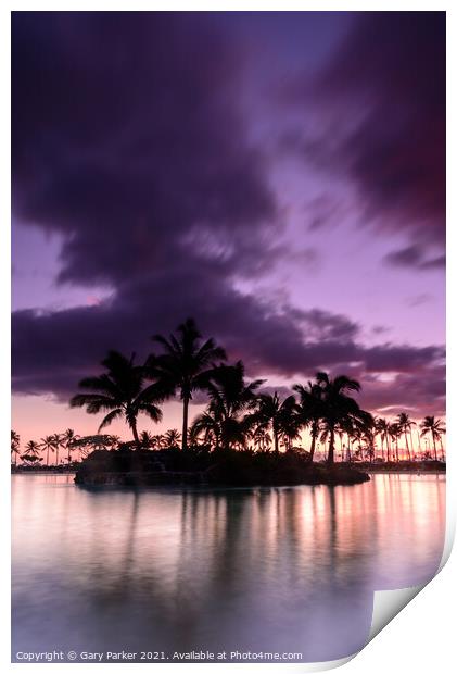 Hawaiian Sunset Print by Gary Parker