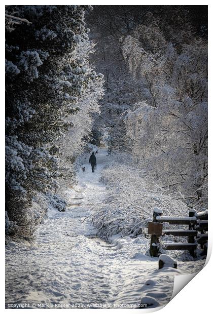 Walking the dog Print by Mark S Rosser