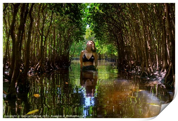 Deep In The Mangroves Print by George Haddad