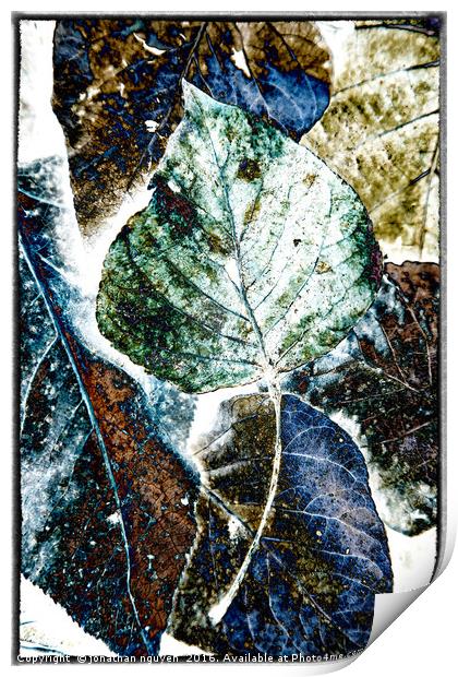 Leaves Abstract 1 Print by jonathan nguyen