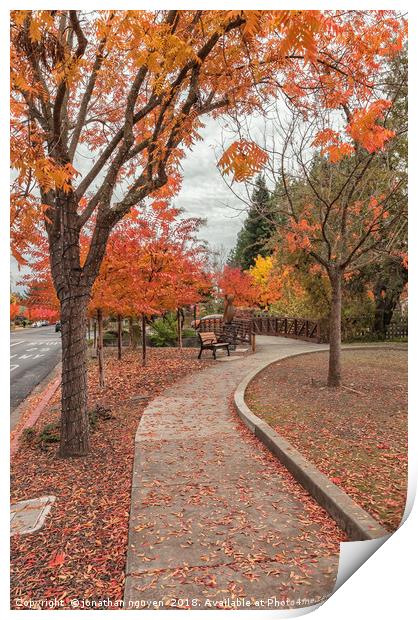 Yountville in Autumn Print by jonathan nguyen