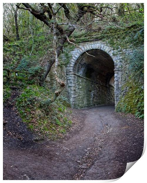 Derwent Valley Viaduct Print by Rob Cole