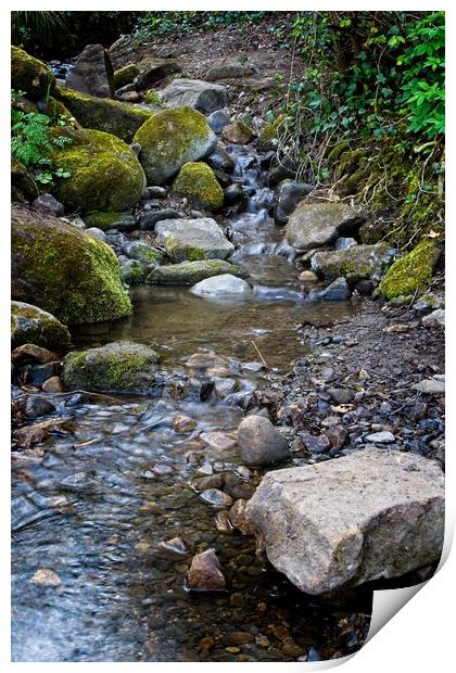 Derwent Valley Stream Print by Rob Cole