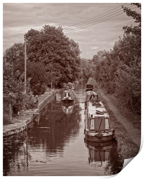 Montgomery Canal, Maesbury Marsh Print by Rob Cole