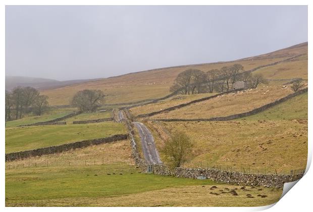 Serene Hills of Yorkshire Print by Rob Cole