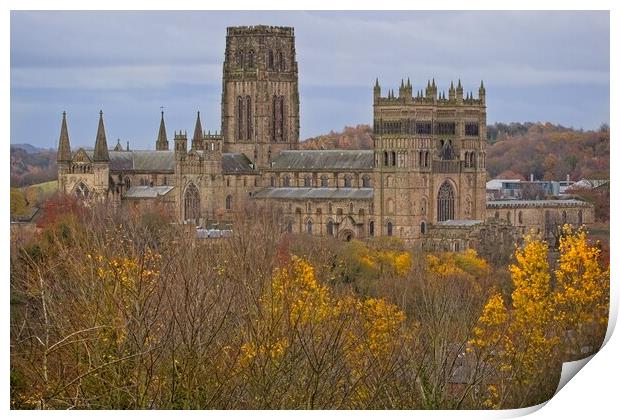 Durham Cathedral in Autumn Print by Rob Cole