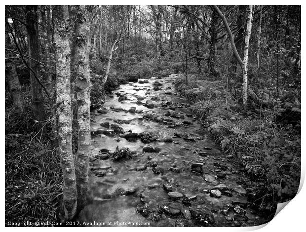 Woodland Stream, Trossachs, Scotland, UK Print by Rob Cole