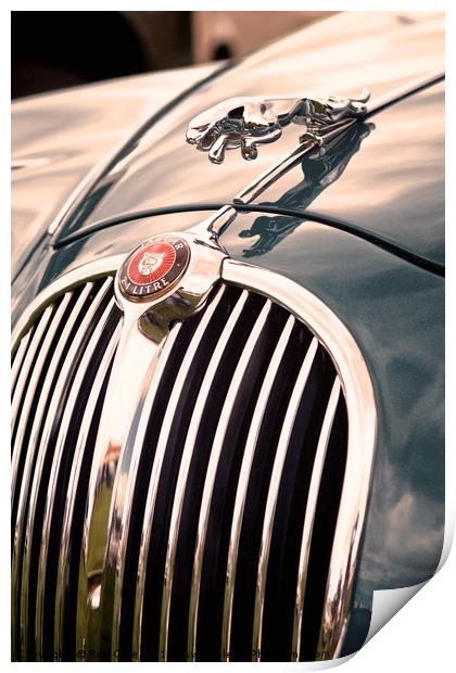 Jaguar Hood Emblem Print by Rob Cole