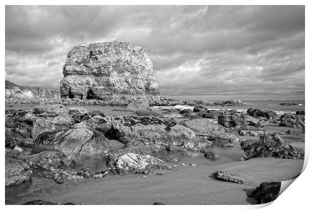 Marsden Rock, Whitburn Print by Rob Cole