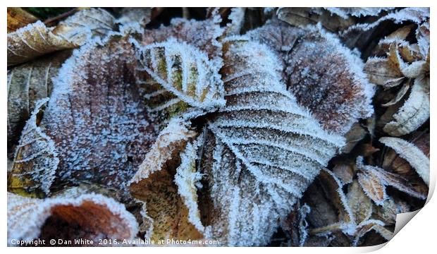 Early morning frost Print by Dan White