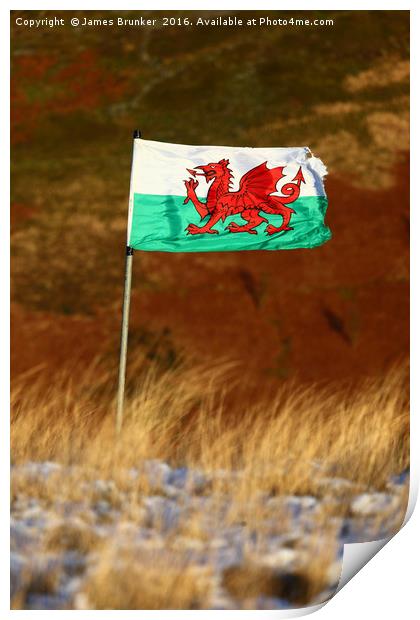Welsh Flag and Winter Hillside Print by James Brunker