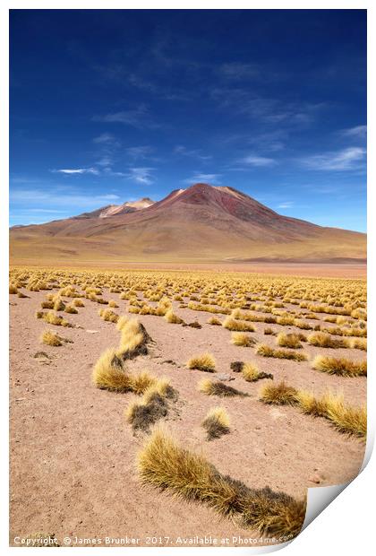 El Tatio volcano and Puna Grassland Chile Print by James Brunker