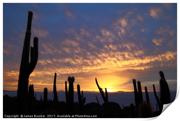 Cacti at Sunset on Incahuasi Island Salar de Uyuni Print by James Brunker