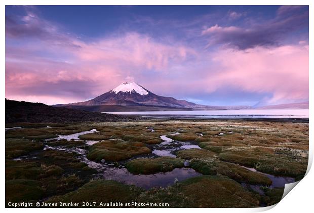 Parinacota Volcano and Lago Chungara Chile Print by James Brunker