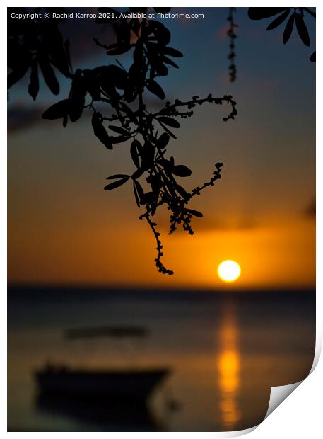 Silhouette of branch with sunset at the back Print by Rachid Karroo