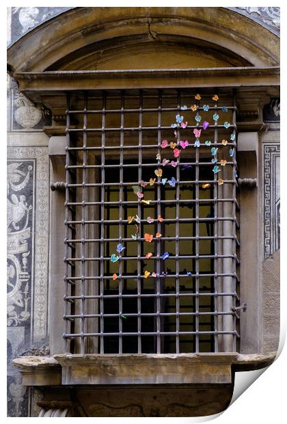 Butterflies in the window Print by Ranko Dokmanovic