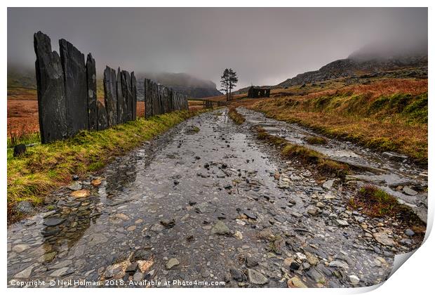 Cwmorthin Slate Fence, Snowdonia  Print by Neil Holman