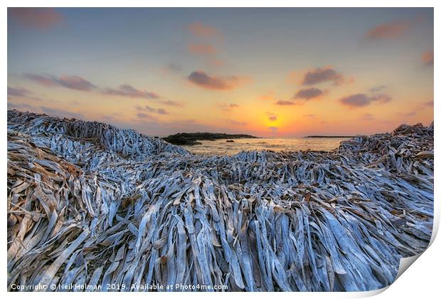 Seaweed Sunset, Paphos Cyprus Print by Neil Holman