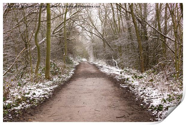 Winter Trail Print by Simon Annable